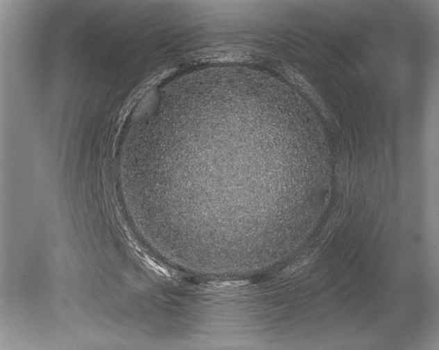 X0000079290721200611171050