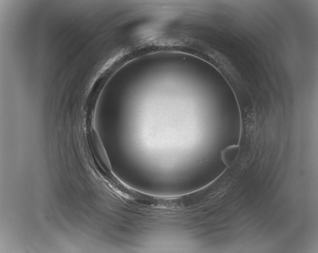 X0000079290727200611171050