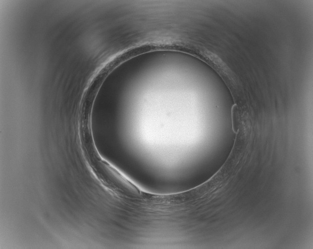 X0000079290728200611171050