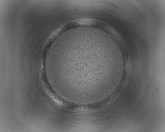 X0000079290733200611171050