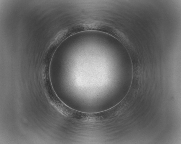X0000079290738200611171051