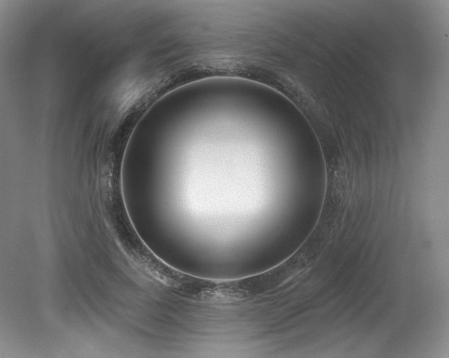 X0000079290739200611171051