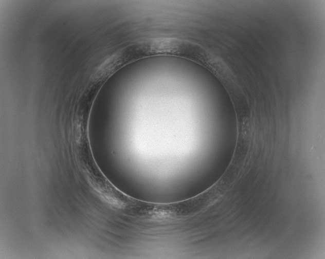 X0000079290741200611171051