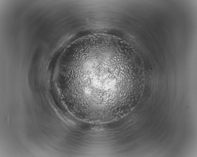 X0000079290742200611171051