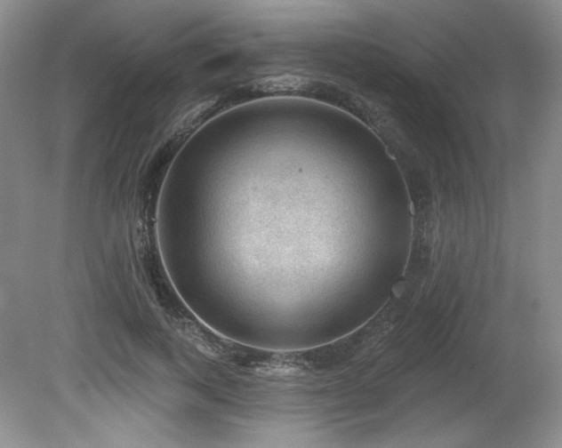 X0000079290743200611171051