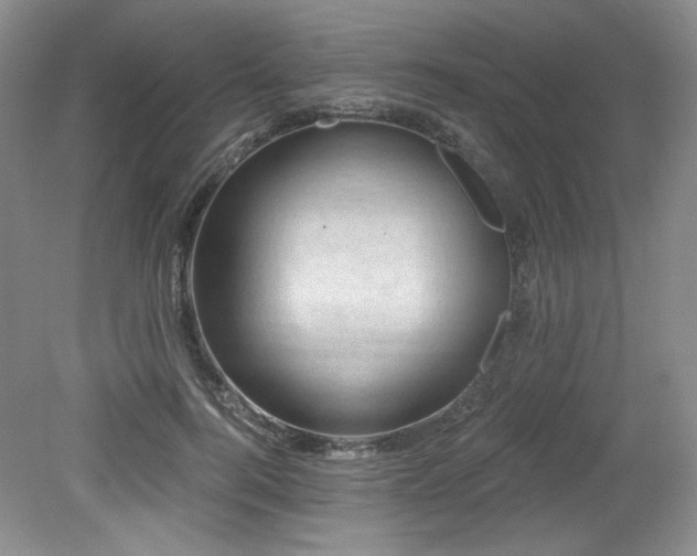 X0000079290744200611171051