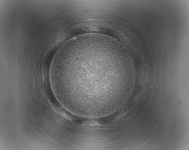 X0000079290747200611171051