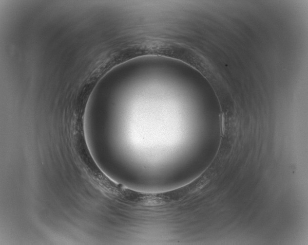 X0000079290750200611171051