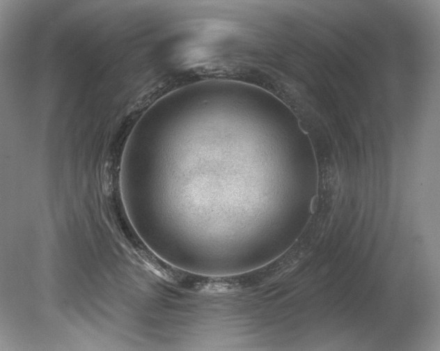 X0000079290751200611171051