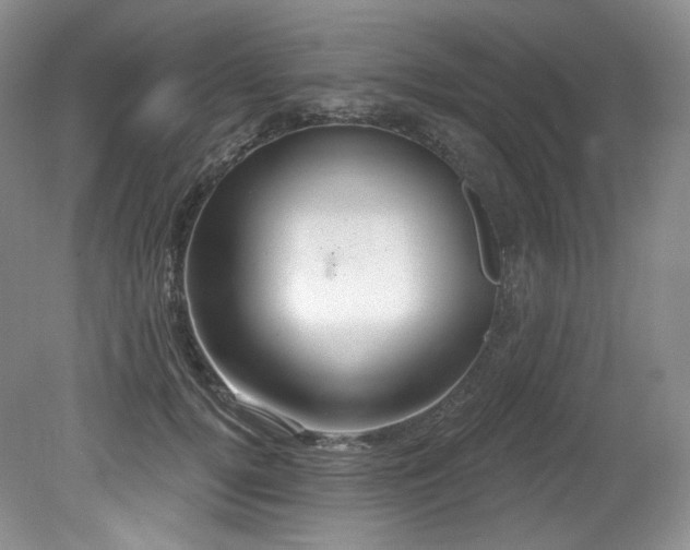 X0000079290752200611171051