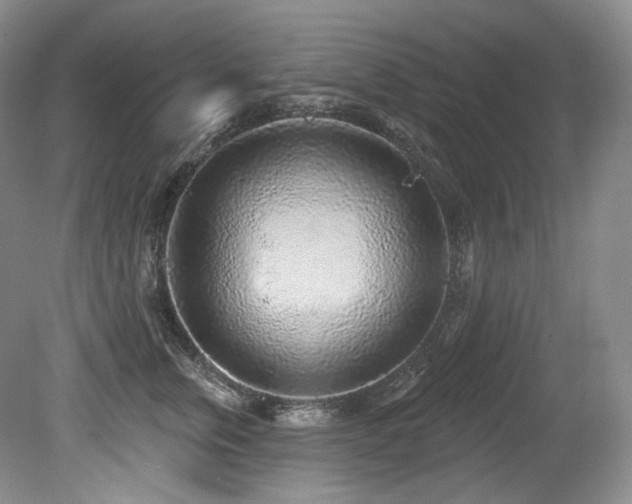 X0000079290759200611171051