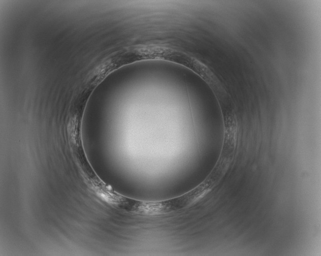 X0000079290767200611171051