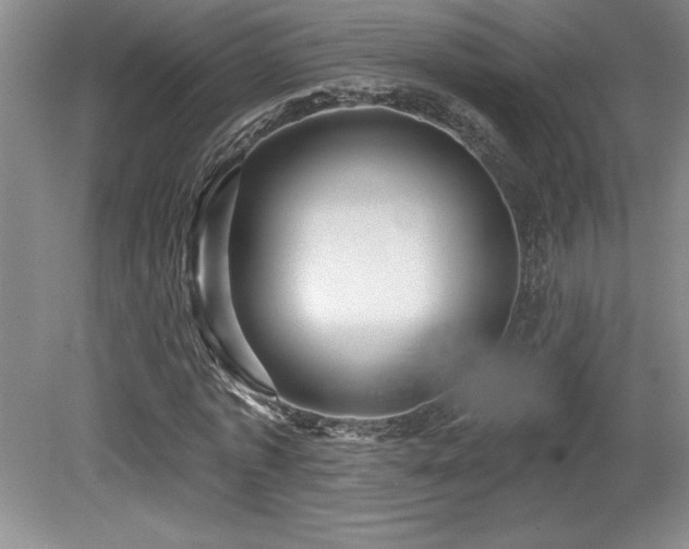 X0000079290773200611171050