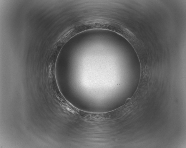 X0000079290774200611171050