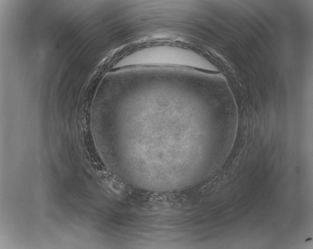 X0000079290776200611171050