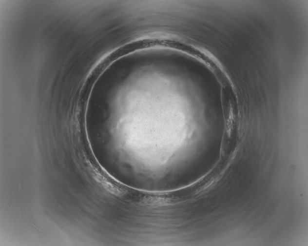 X0000079290783200611171050