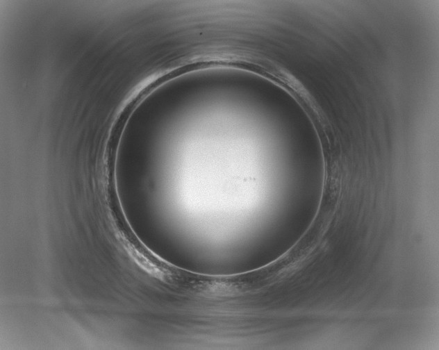X0000079290787200611171050