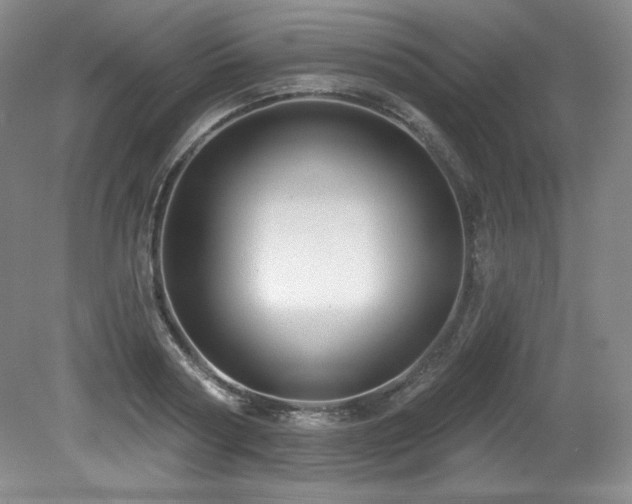 X0000079290794200611171050