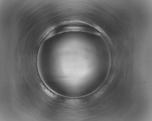 X0000079290801200611171050