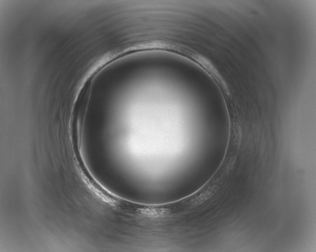 X0000079290805200611171050