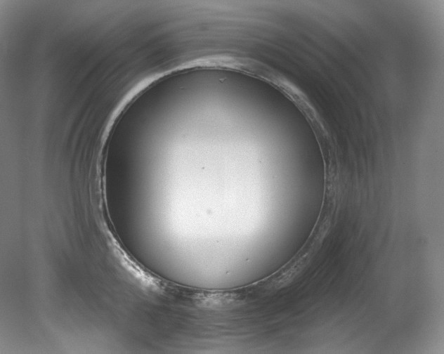 X0000079290808200611171050