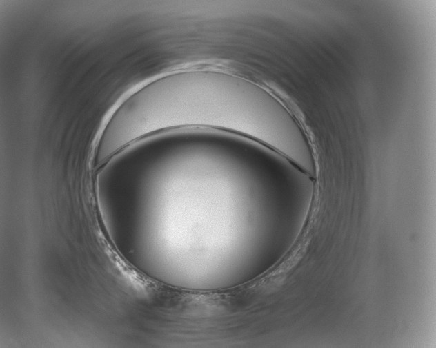 X0000079290816200611171049