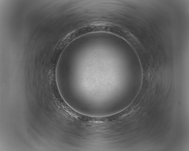 X0000079290821200611171049