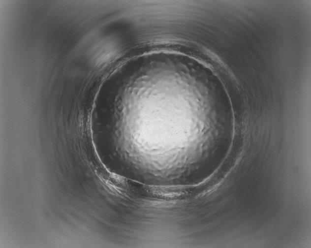 X0000079290825200611171049
