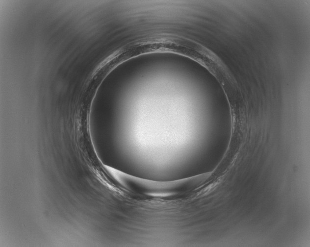 X0000079290826200611171049
