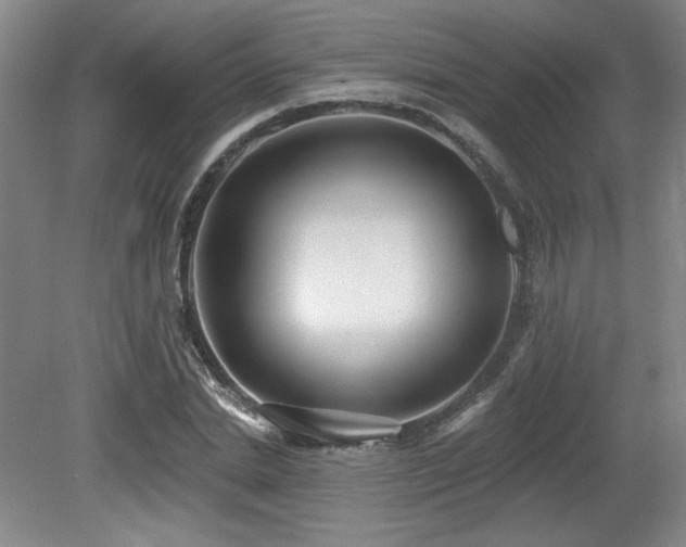 X0000079290830200611171049