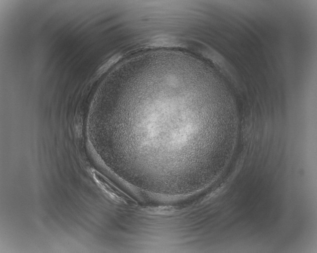 X0000079290833200611171049