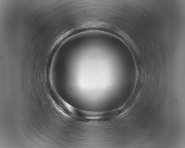 X0000079290834200611171049