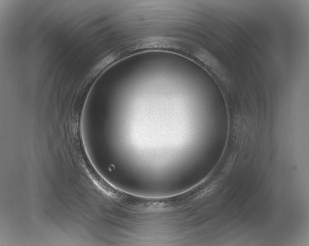 X0000079290841200611171049