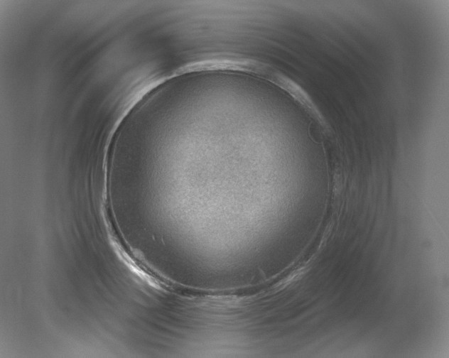 X0000079290844200611171049