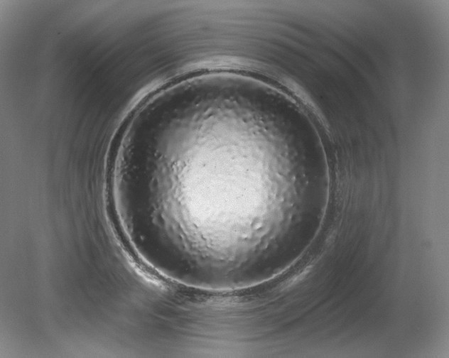 X0000079290845200611171049