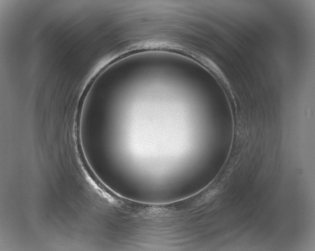 X0000079290847200611171049