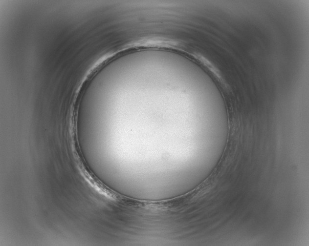 X0000079290848200611171049
