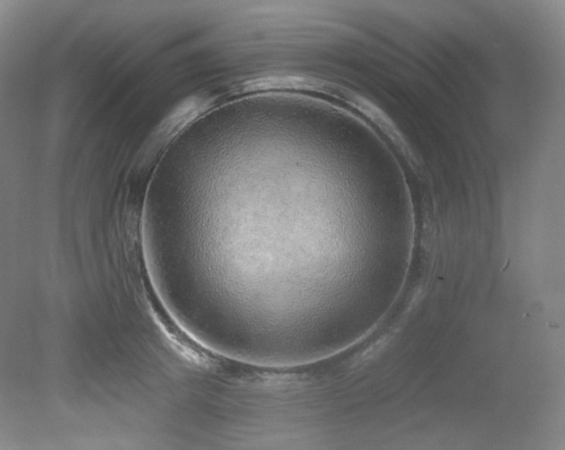 X0000079290849200611171049