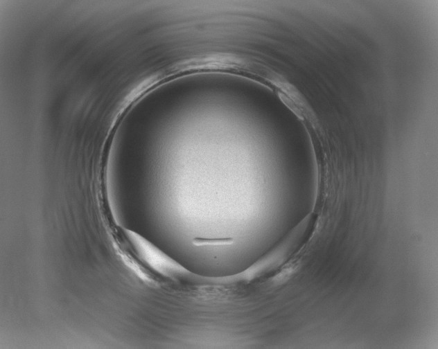 X0000079290850200611171049
