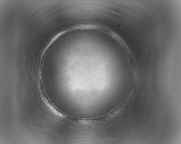 X0000079290852200611171049