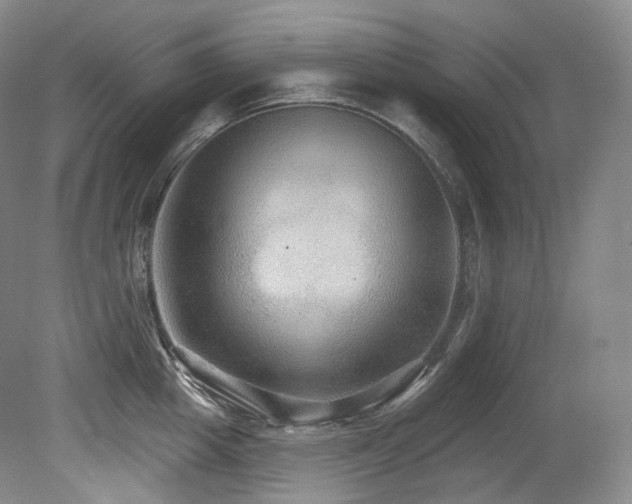 X0000079290857200611171049