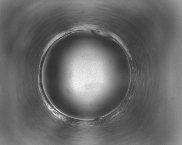 X0000079290861200611171049