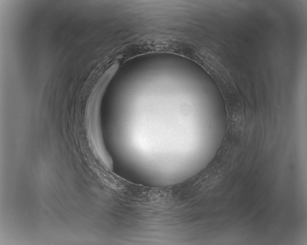 X0000079290865200611171049