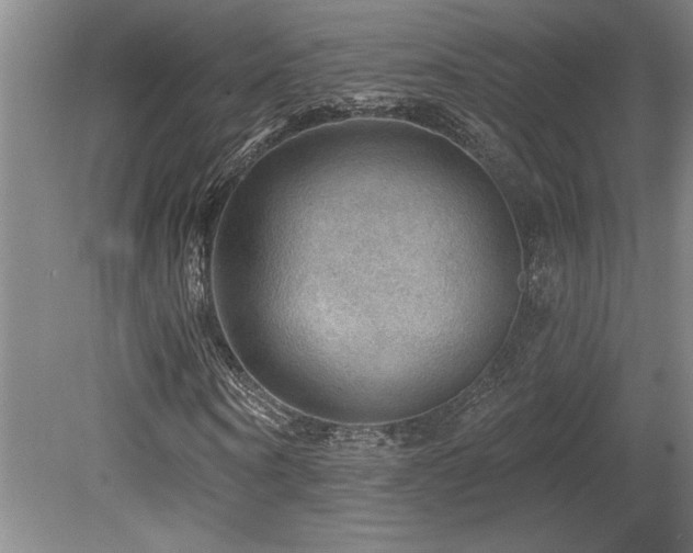 X0000079290866200611171049