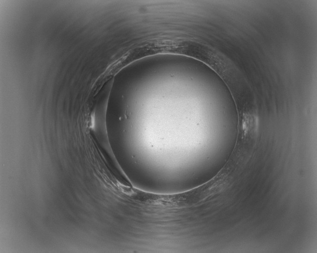 X0000079290867200611171049