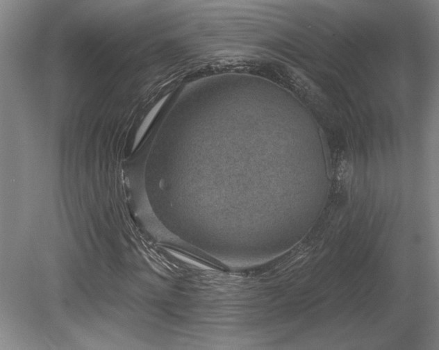 X0000079290868200611171049