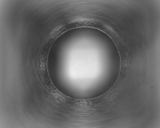 X0000079290869200611171049