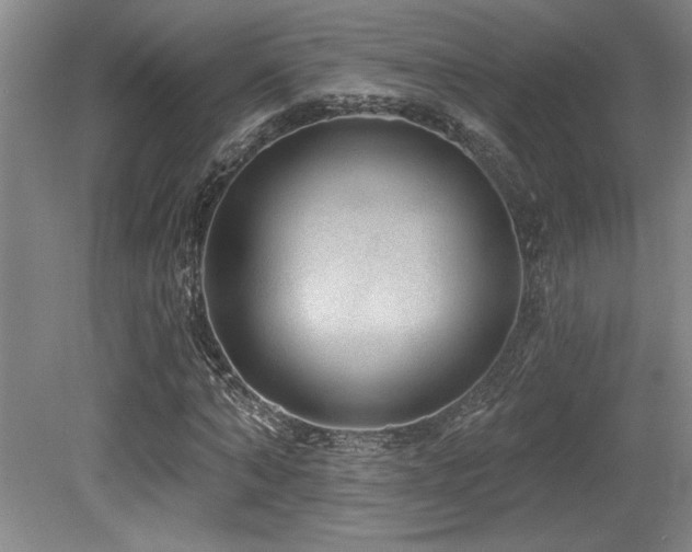 X0000079290870200611171049