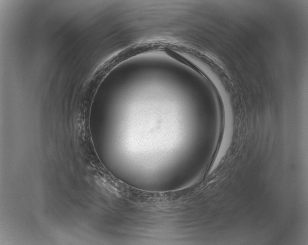 X0000079290872200611171049