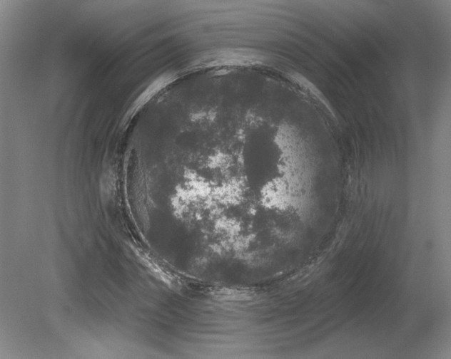 X0000079290874200611171048